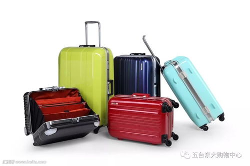 升學季箱約美麗包，啟航夢想新篇章